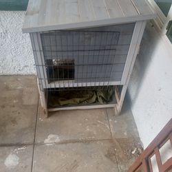 Animal Home/Shelter