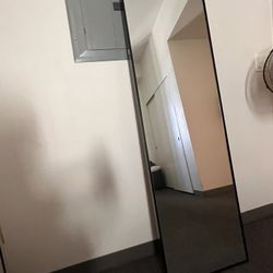 BODY MIRROR