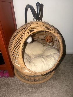 Cat bed
