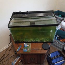 Tank's