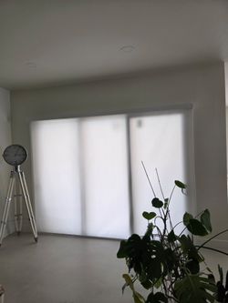 Cortinas traslúcidos,  zebra , screen,  blackout