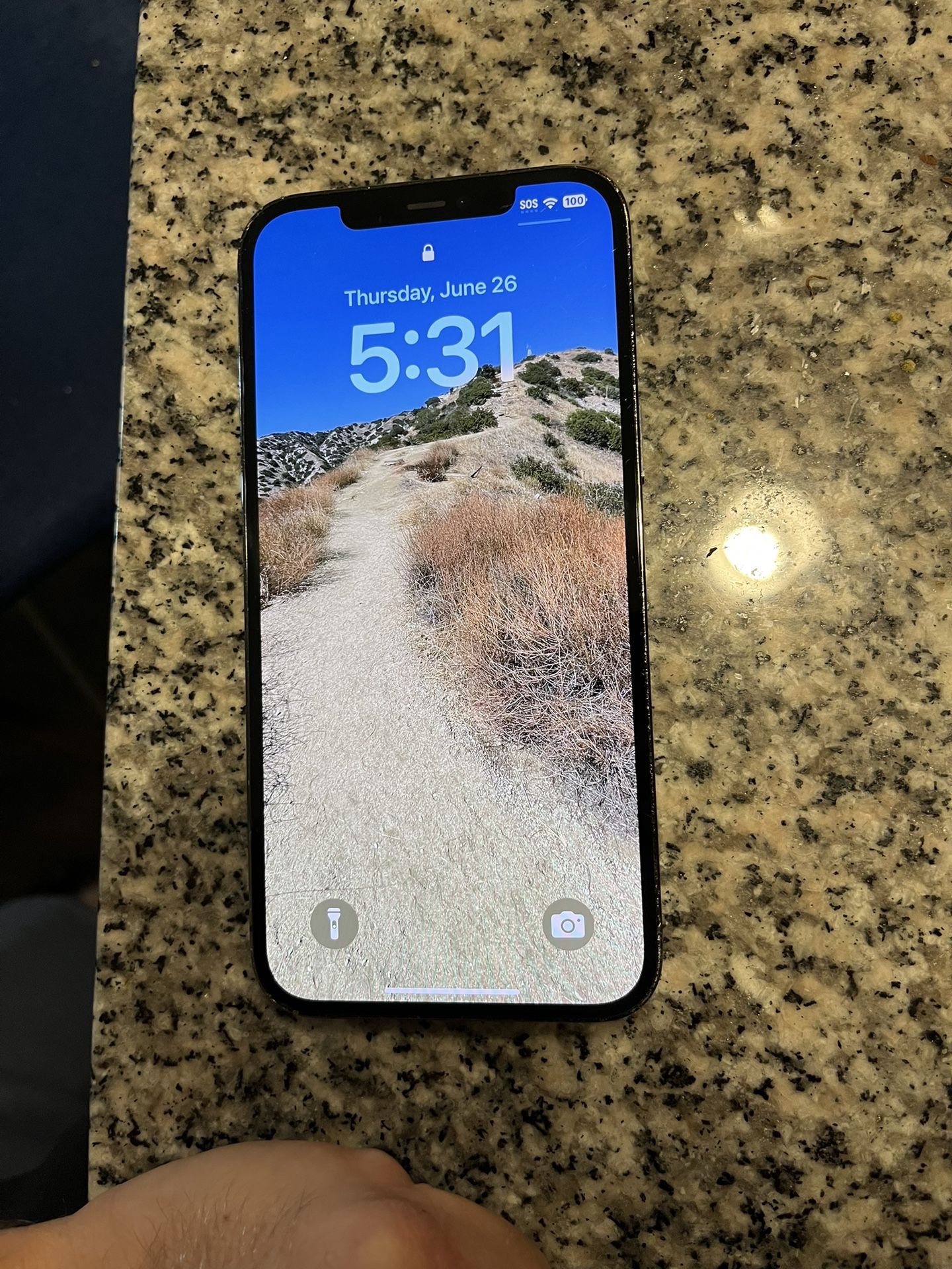 iPhone 12 Pro Max