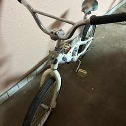 Trek Mystic Kids Bike 