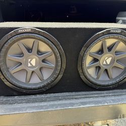 12 Inch Subwoofer Kicker