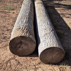 Popular and cedar logs