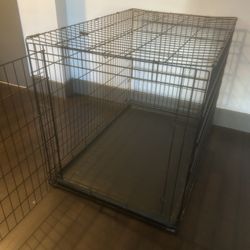 Dog Kennel 
