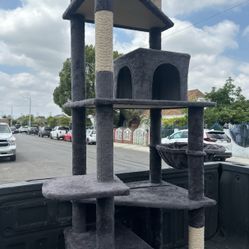 Cat House 