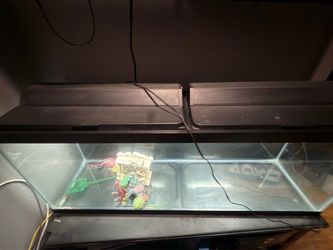 50 gallon slim aquarium tank with 3 bags of gravel and decoration included