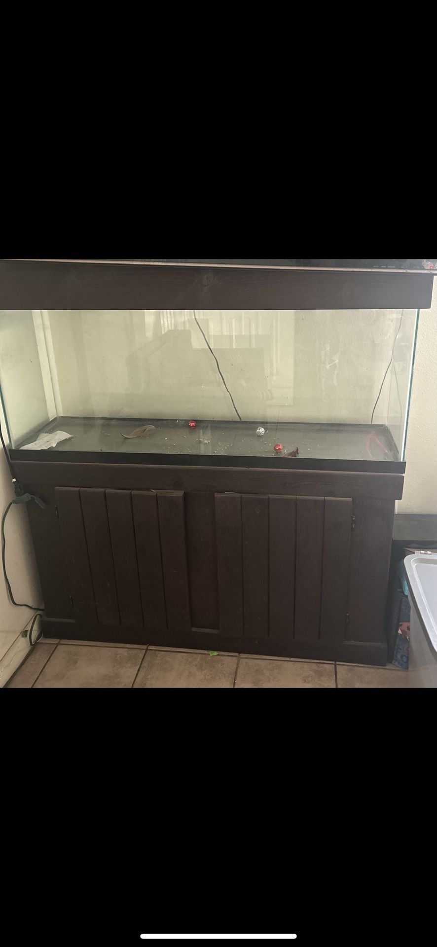 Fish Tank