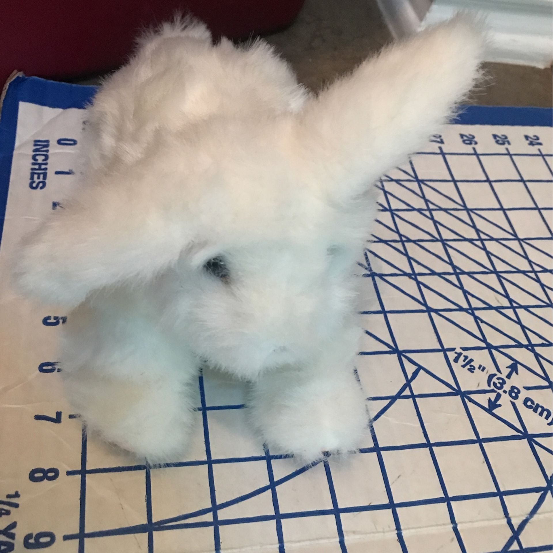 Furreal White Bunny Rabbits