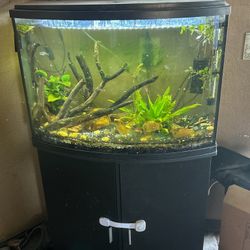 36 Gallon Aquarium With Stand 