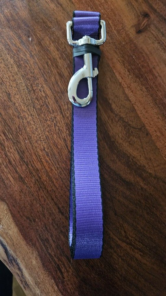 Buckle Down Dog Leash