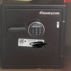 Sentrysafe Fire Proof Digital Safe