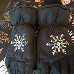 Snow Gloves 