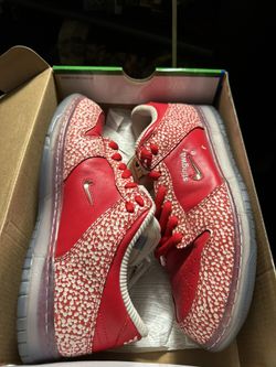 Nike SB Dunk StingWater