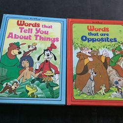 VINTAGE WALT DISNEY WORDS THAT ARE OPPOSITES & WORDS TELL YOU ABOUT THINGS 1976