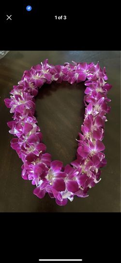 Graduation Leis