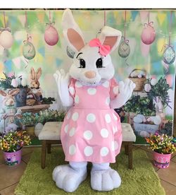 Costumes/mascot
