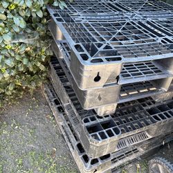 Plastic pallets for freeee