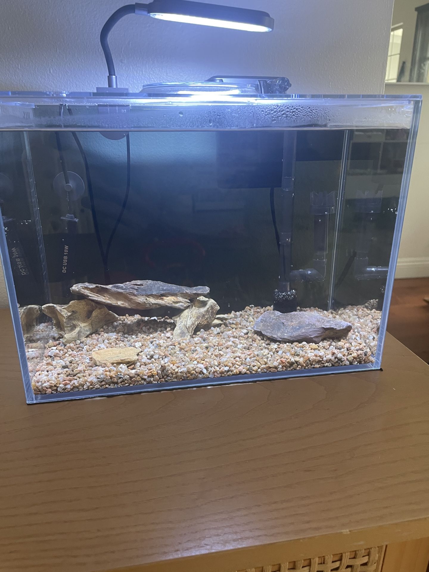 2.6 Gallon Starter fish Tank Aquarium With Accessories