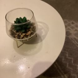 small fake plant