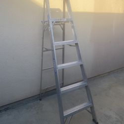 6ft Ladder 