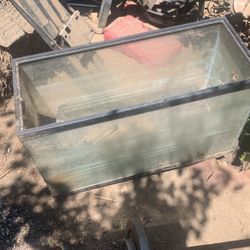 Fish Tank 