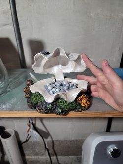 Fish Tank Accessory..shell
