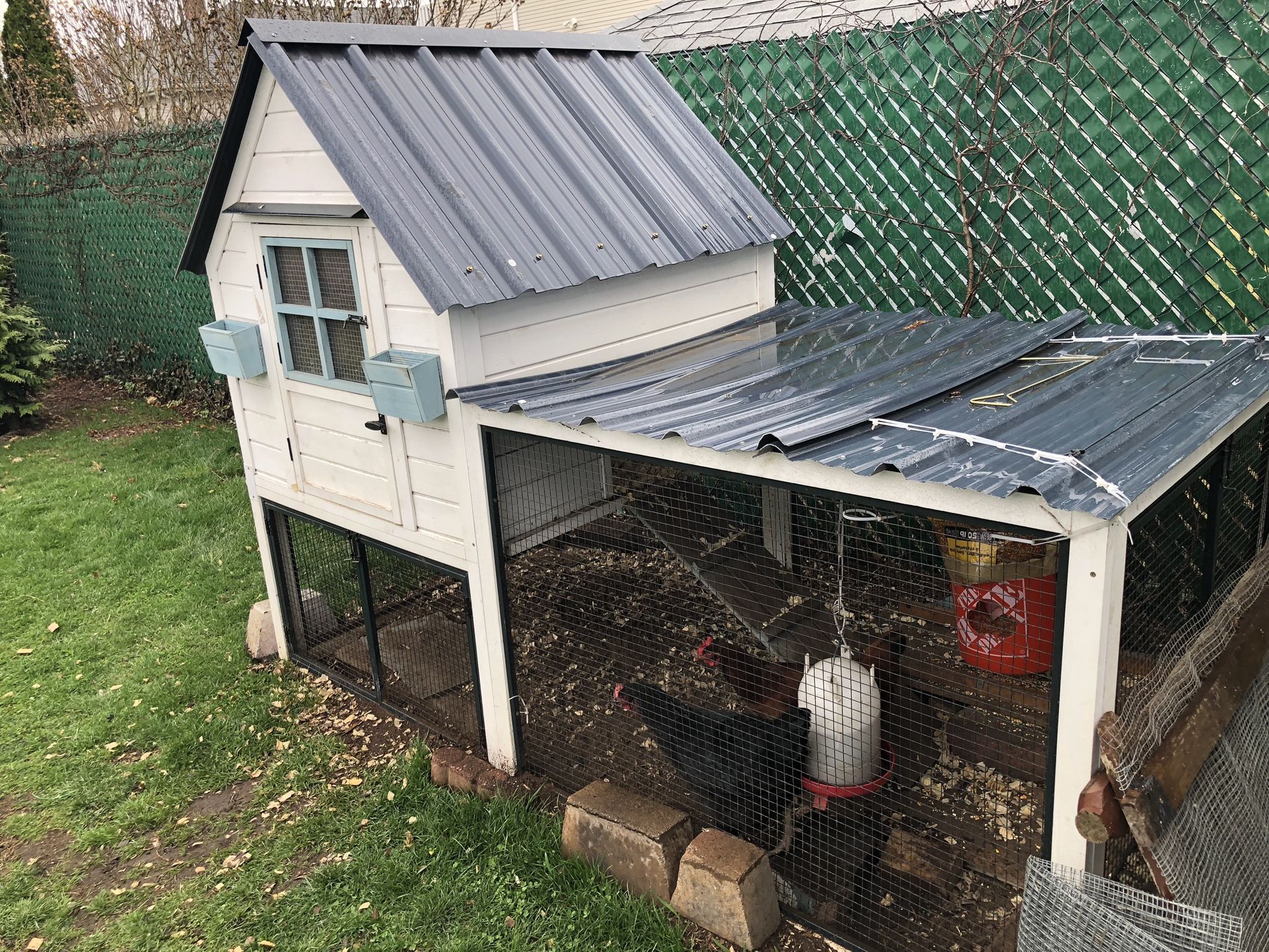 Chicken Coop - 12 Chicken Capacity