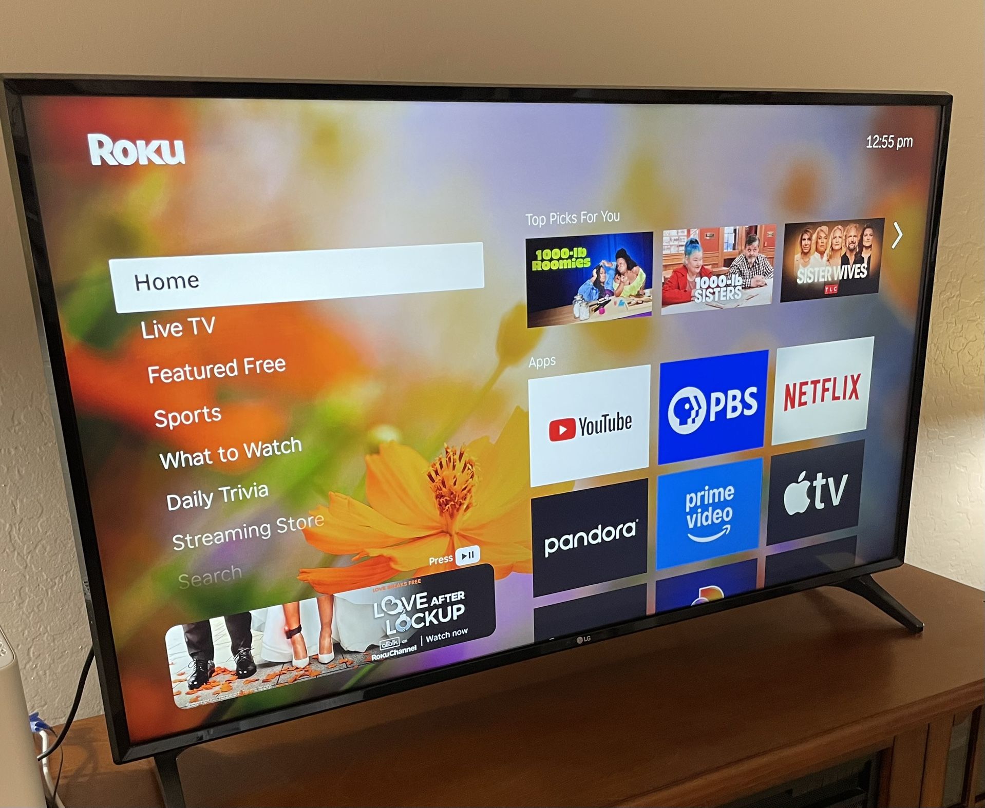 49” LG TV with Remote