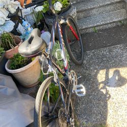 Trex 820 Bicycle Price 150$. Pick Up E.  72.  and.  Grandview.  E.  Tacoma 
