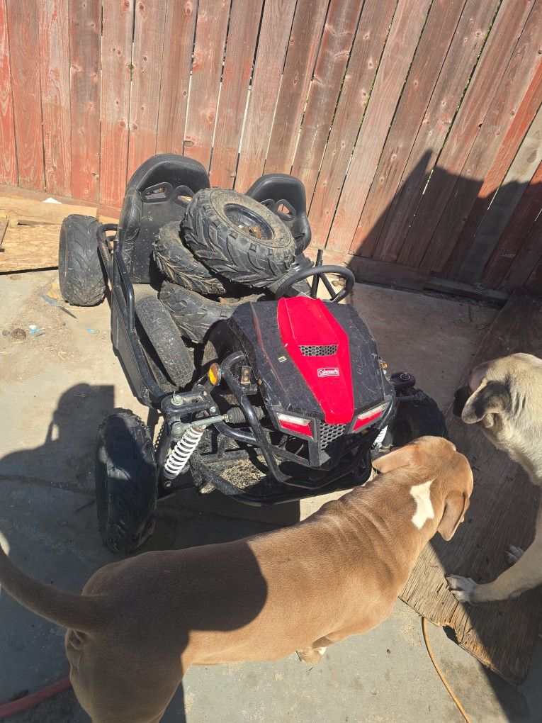 Coleman Gocarts