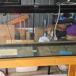 55-Gallon Aquarium Tank With Custom Stand