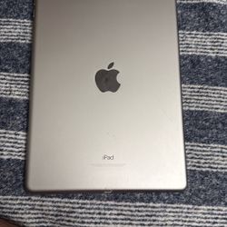 iPad 6th Gen. 