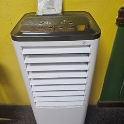 Portable Cooling System 