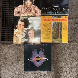 Vintage Vinyl 