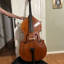 Double Bass Musical Instrument  For Sale