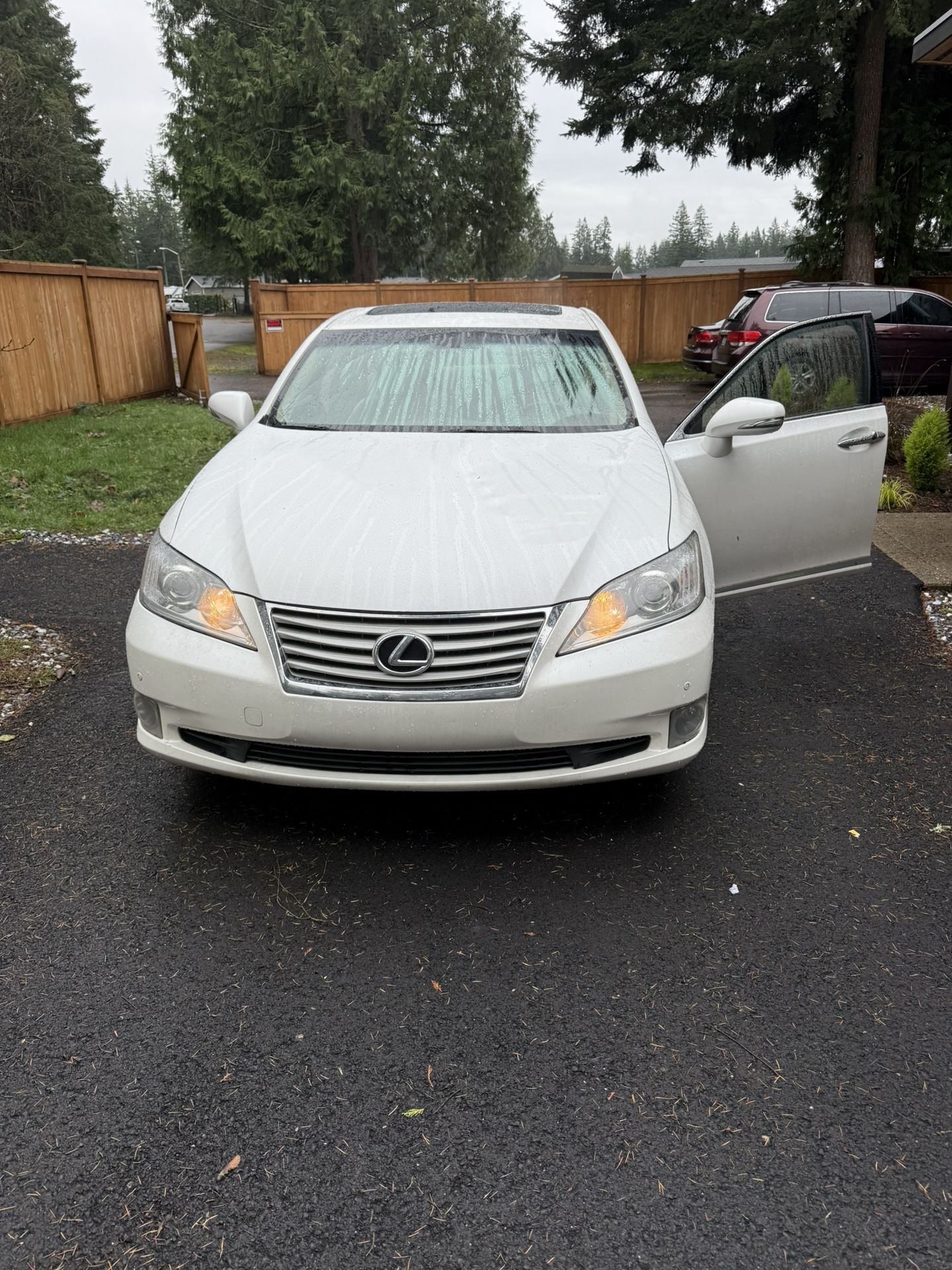 2010 Lexus ES 350
