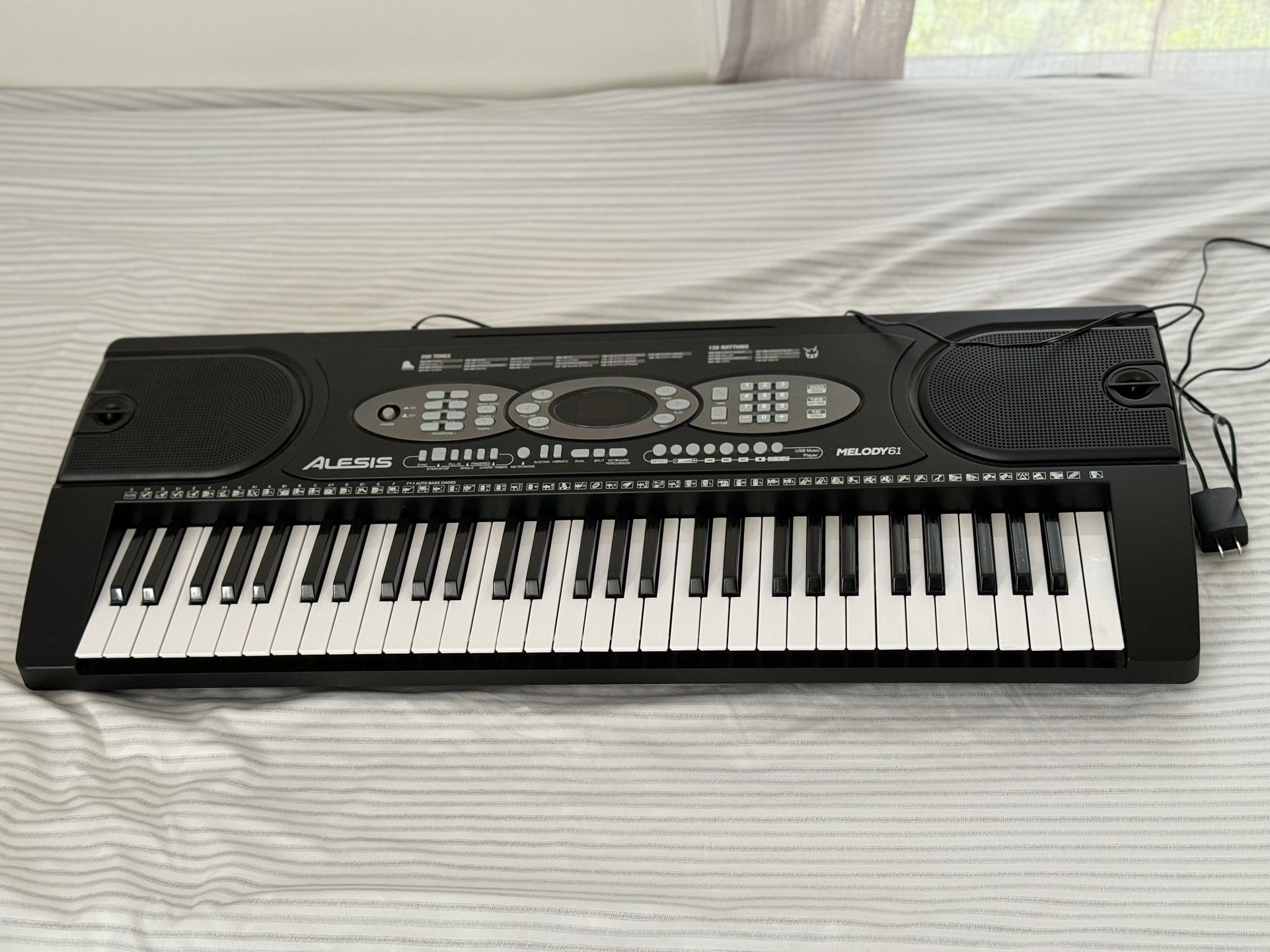Alesis Keyboard Piano