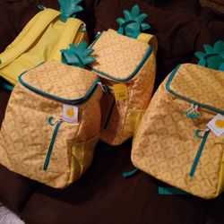 Never Use Backpack Cooler