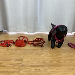 3 Red Harnesses 1 Pink Harness And One Pink Collar