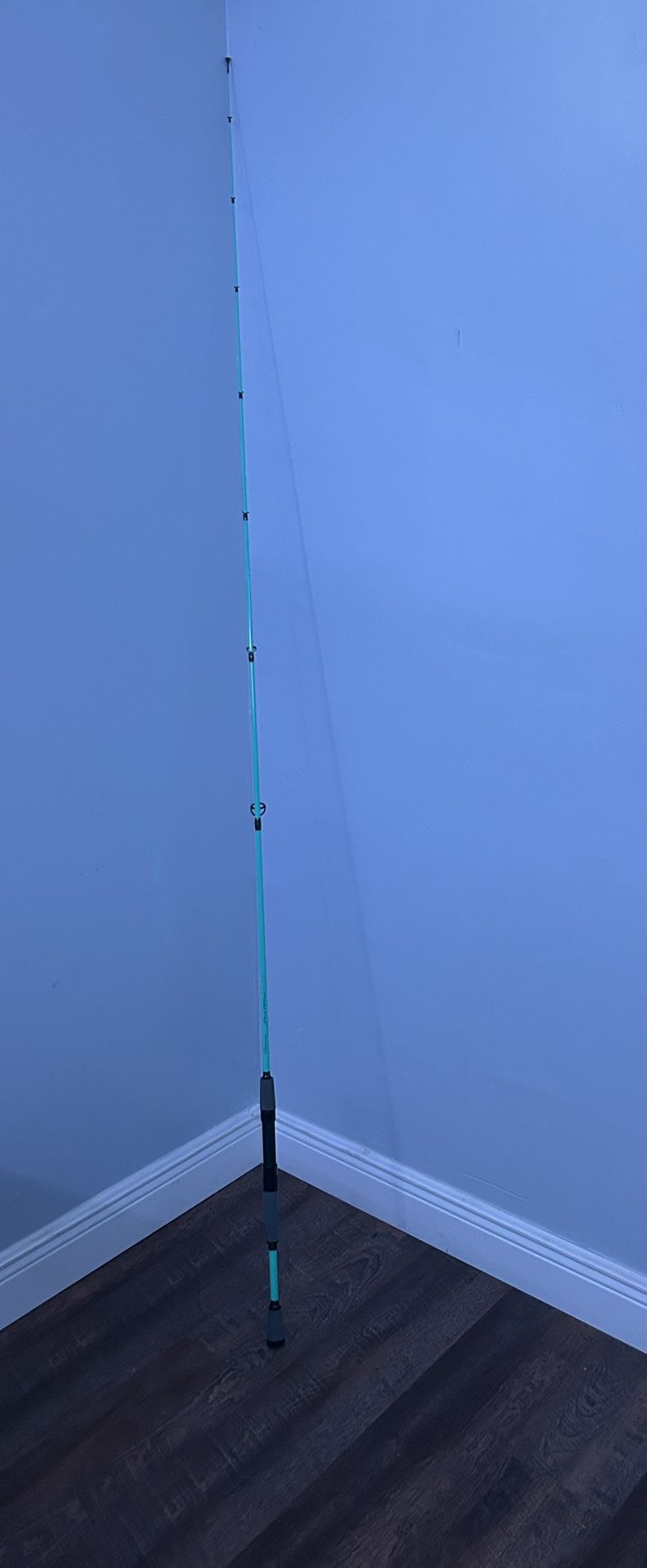 tsunami fishing rod 7ft