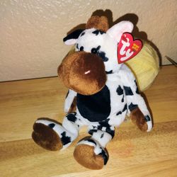 Tipsy • Date of birth:  January 7, 2004