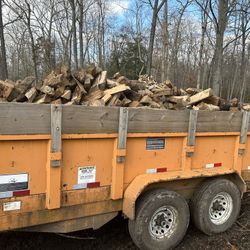 Seasoned Firewood Before New Years Eve