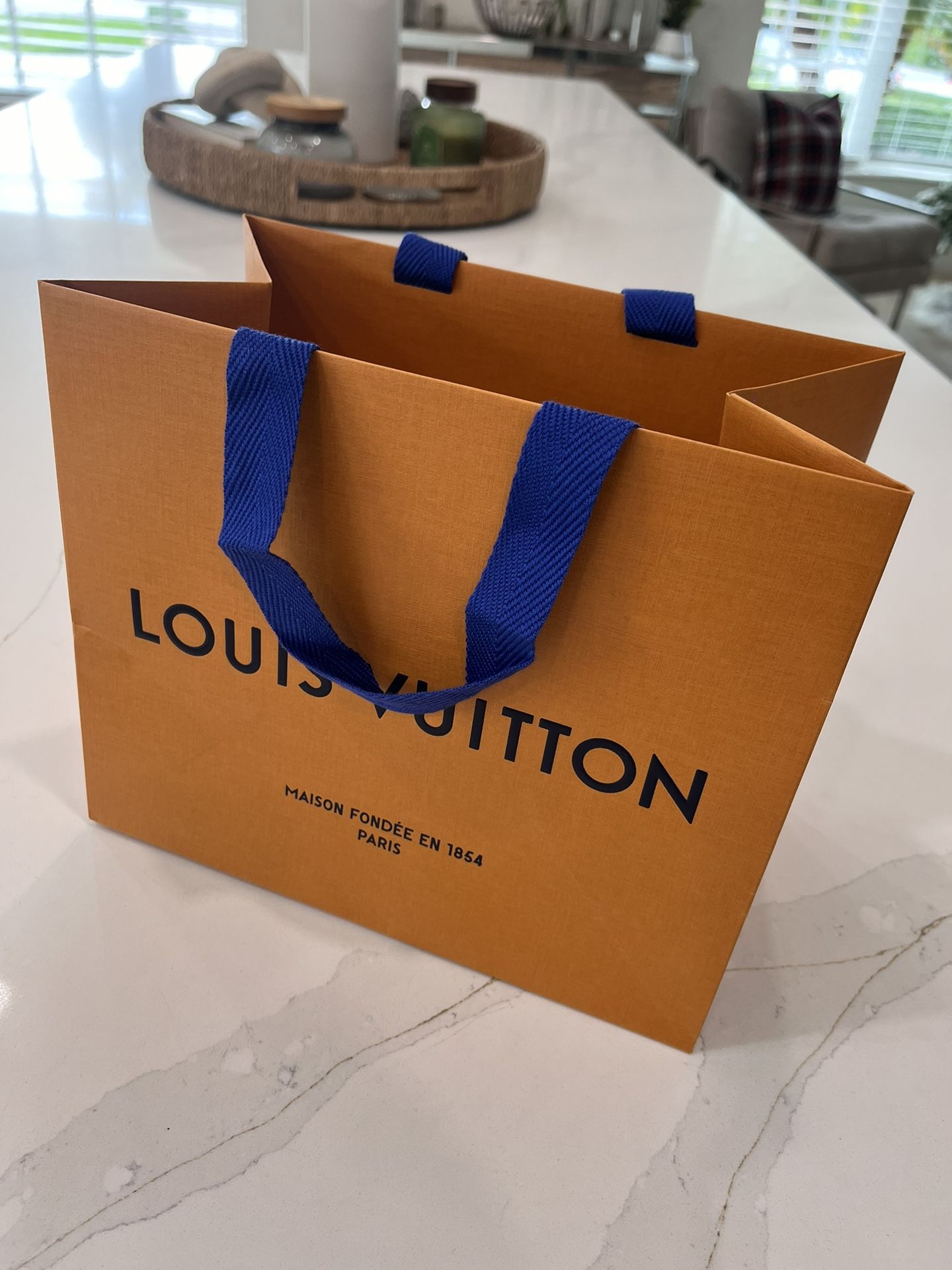 Louis Vuitton Bag 