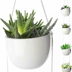4 Tier Plant Hanging Holder White Ceramic Planters for Wall Ceiling Decorative Herb Garden