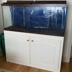 Fish Tank (55 Gallon), Cabinet, and Accessories