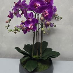Faux 24” Phalaenopsis Orchid Artificial Plants, Flowers 