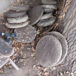 cement round steps good for the garden asking 125 for all