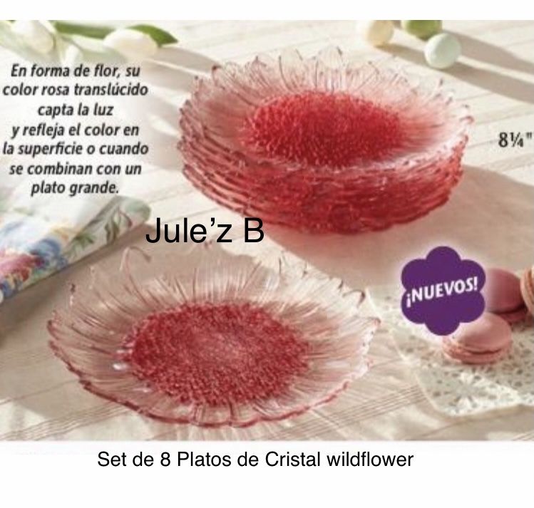 Princess House Set De 8 Platos De Cristal Wildflower Nuevos En Sus Cajas
